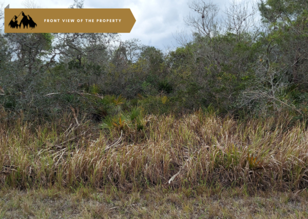 .26 acres in Highlands County, FL - Image 6