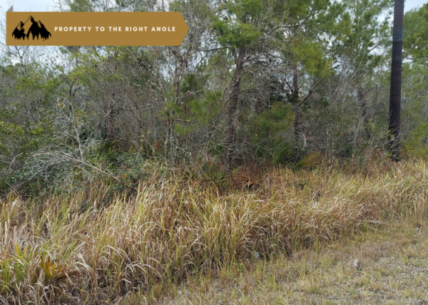 .26 acres in Highlands County, FL - Image 5