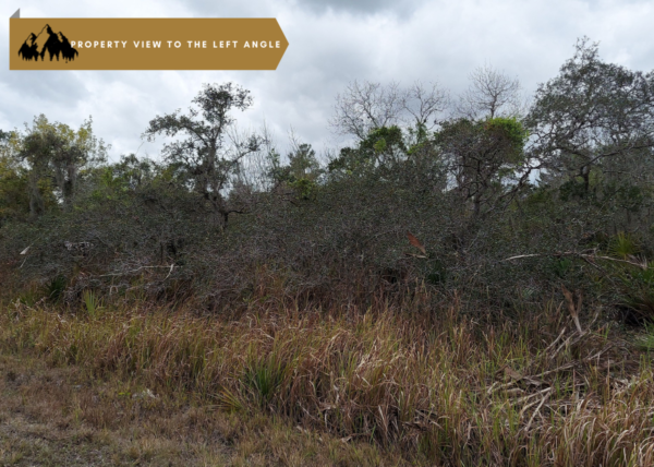 .26 acres in Highlands County, FL - Image 7