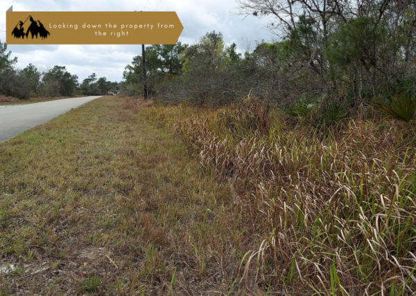.26 acres in Highlands County, FL - Image 4