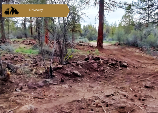 2.42 acres near Dairy, OR - Image 6