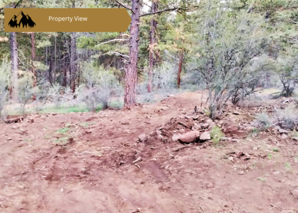2.42 acres near Dairy, OR - Image 7