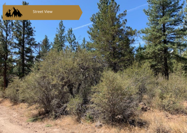 2.42 acres near Dairy, OR - Image 4