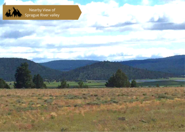 4.73 acres in Klamath County, OR - Image 2