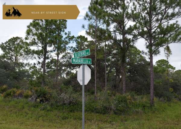.23 acres in Lake Placid, FL - Image 11