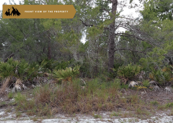 .23 acres in Lake Placid, FL - Image 8