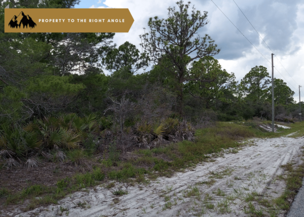 .23 acres in Lake Placid, FL - Image 7