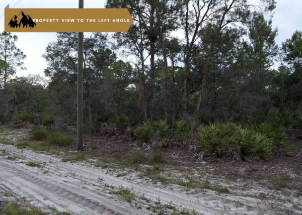 .23 acres in Lake Placid, FL - Image 6