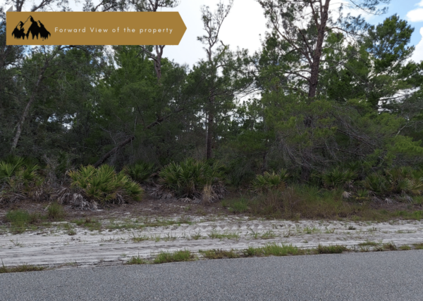 .23 acres in Lake Placid, FL - Image 3