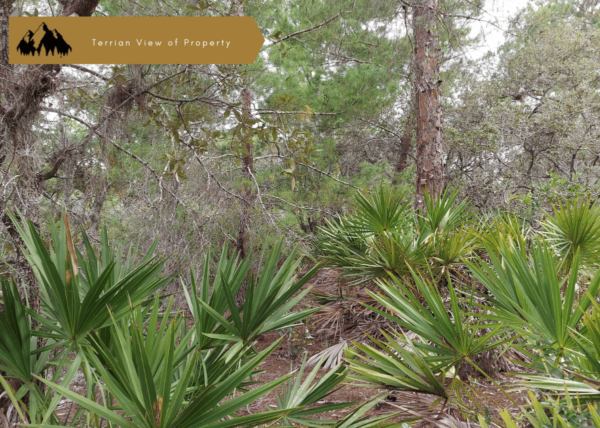 .23 acres in Lake Placid, FL - Image 10