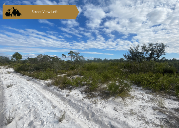 0.25 acres in Highlands County, FL - Image 3