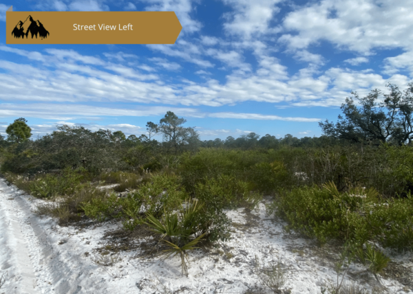 0.25 acres in Highlands County, FL - Image 8