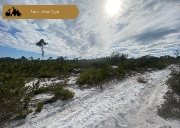 0.25 acres in Highlands County, FL - Image 5