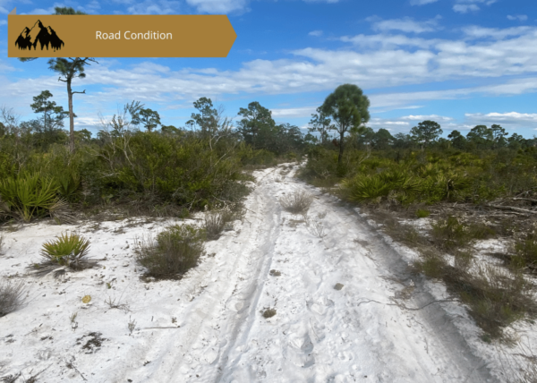 0.25 acres in Highlands County, FL - Image 7