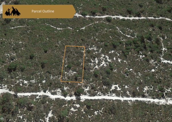 0.25 acres in Highlands County, FL - Image 30