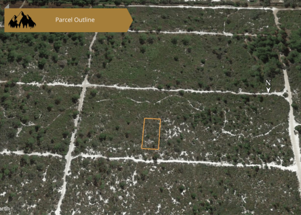 0.25 acres in Highlands County, FL - Image 28