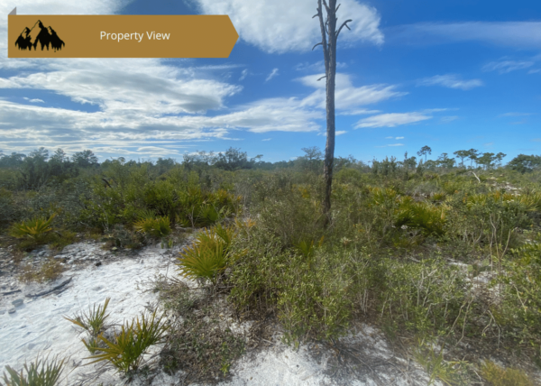 0.25 acres in Highlands County, FL - Image 14