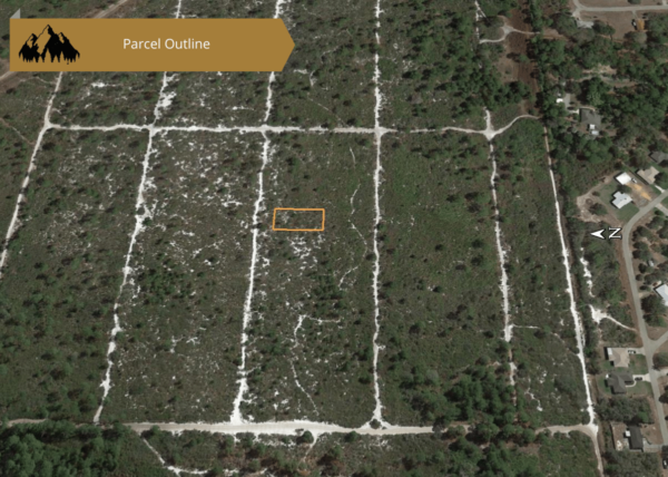 0.25 acres in Highlands County, FL - Image 18
