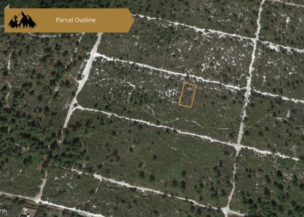 0.25 acres in Highlands County, FL - Image 20