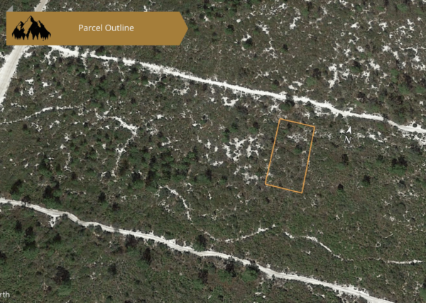 0.25 acres in Highlands County, FL - Image 21