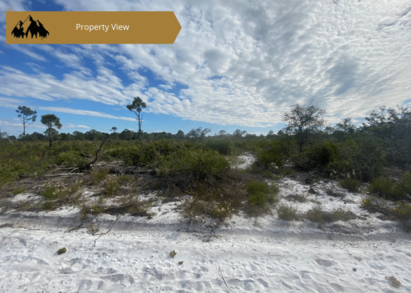 0.25 acres in Highlands County, FL - Image 13