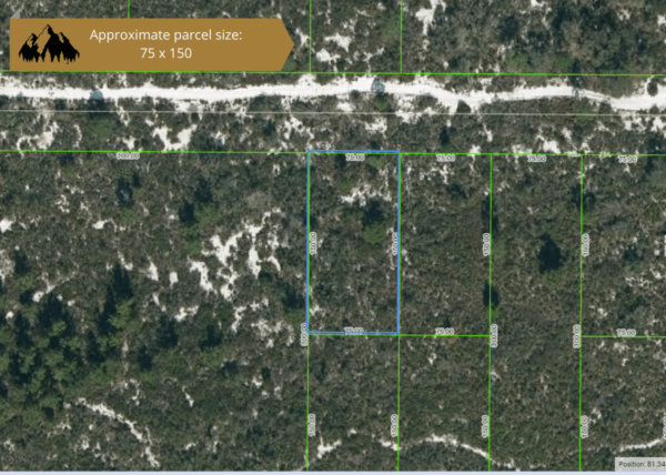 0.25 acres in Highlands County, FL - Image 34