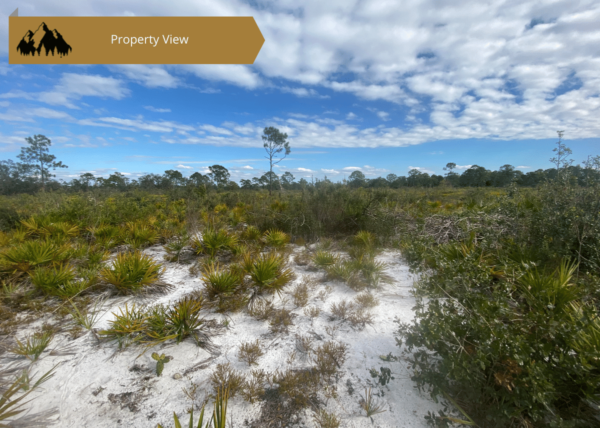 0.25 acres in Highlands County, FL - Image 12
