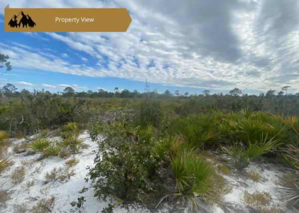 0.25 acres in Highlands County, FL - Image 16