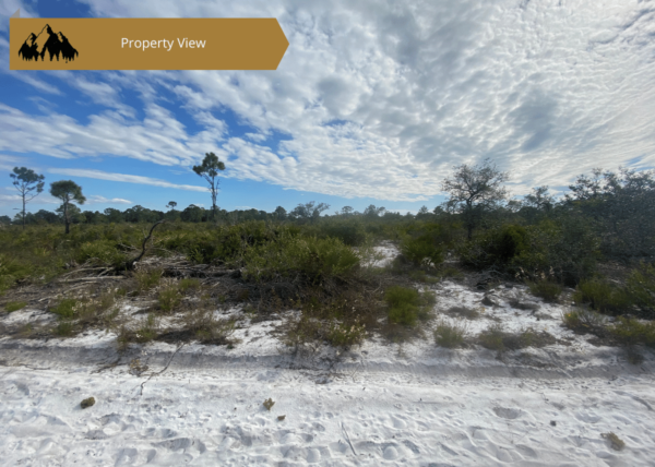 0.25 acres in Highlands County, FL - Image 2