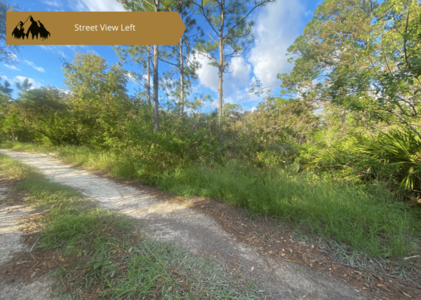.23 acres in Highlands County, FL - Image 11