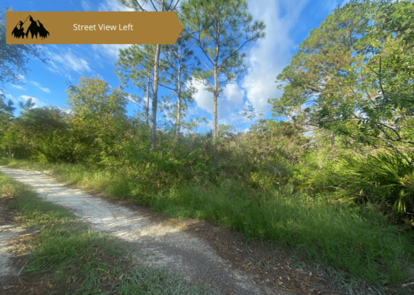 .23 acres in Highlands County, FL - Image 14