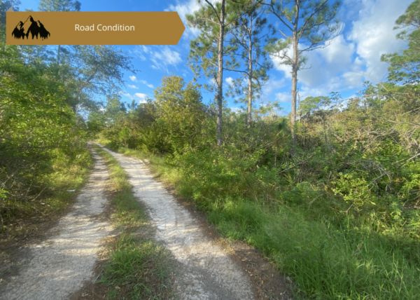 .23 acres in Highlands County, FL - Image 12