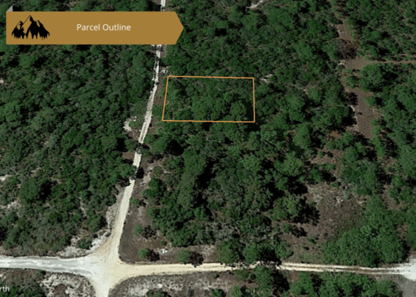 .23 acres in Highlands County, FL - Image 16