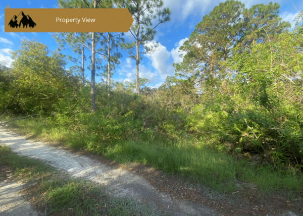 .23 acres in Highlands County, FL - Image 2