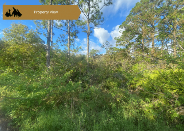 .23 acres in Highlands County, FL - Image 3