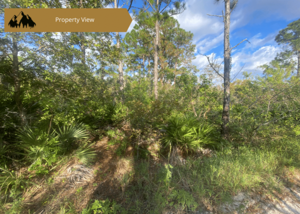 .23 acres in Highlands County, FL - Image 4