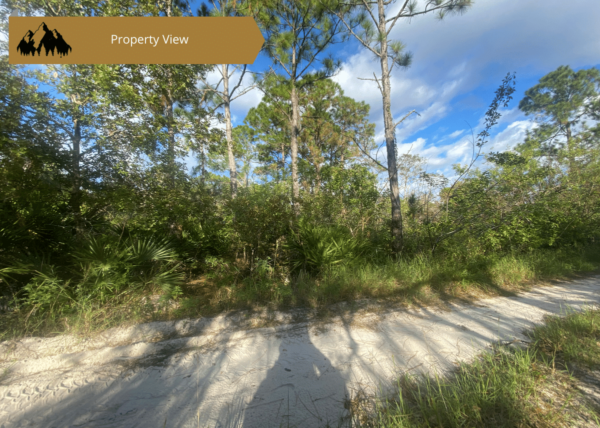 .23 acres in Highlands County, FL - Image 5