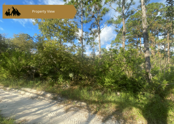 .23 acres in Highlands County, FL - Image 6
