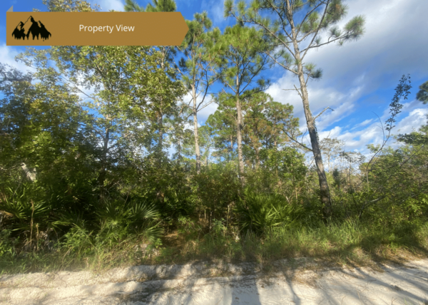 .23 acres in Highlands County, FL - Image 10