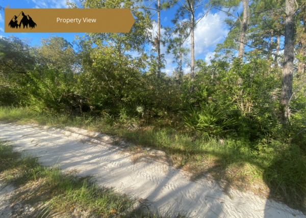 .23 acres in Highlands County, FL - Image 7