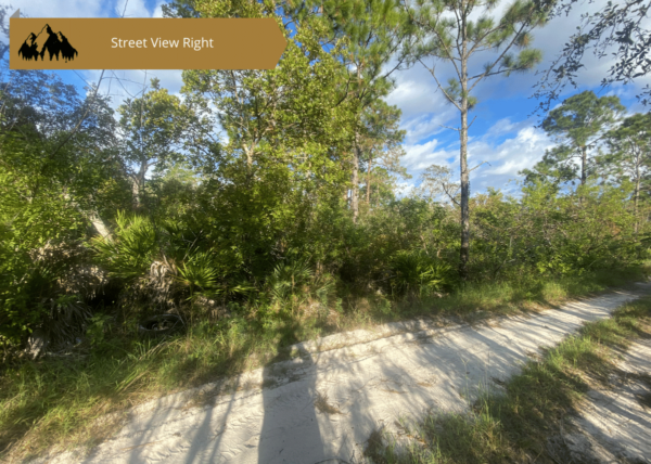 .23 acres in Highlands County, FL - Image 8