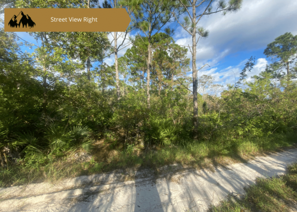 .23 acres in Highlands County, FL - Image 9