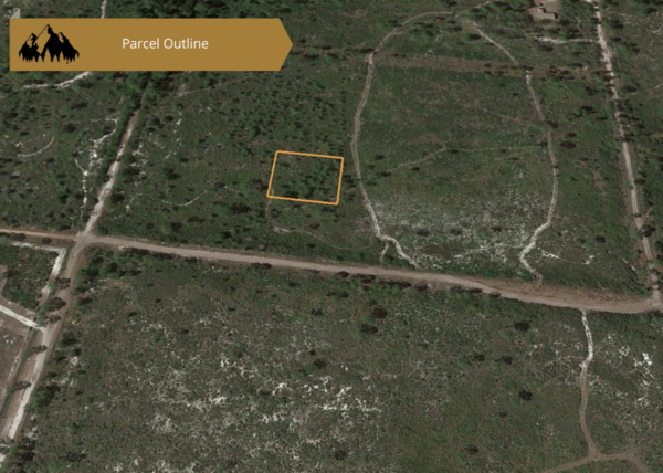 .51 acres in Highlands County, FL - Image 6