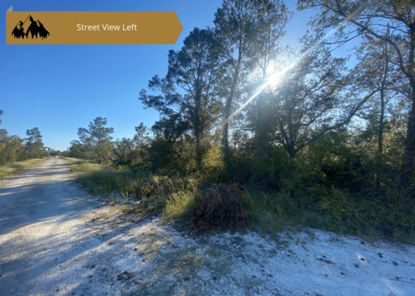 .25 acres in Highlands County, FL - Image 5
