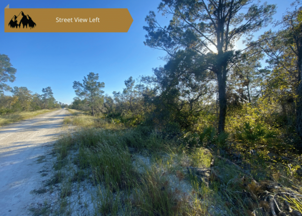 .25 acres in Highlands County, FL - Image 10