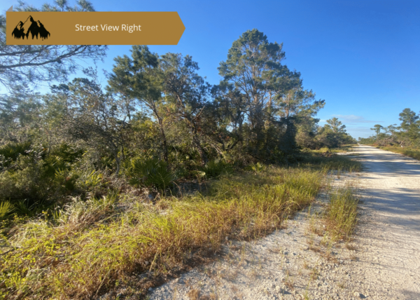 .25 acres in Highlands County, FL - Image 9
