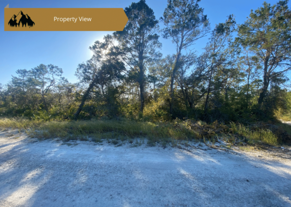 .25 acres in Highlands County, FL - Image 2