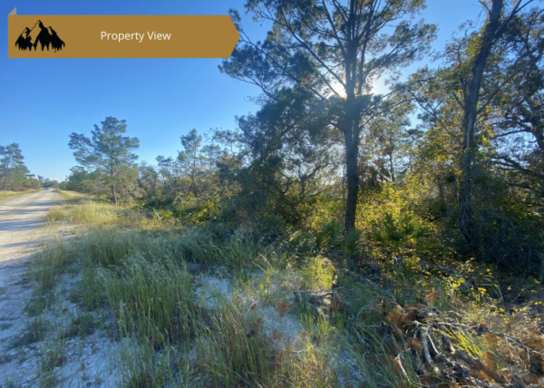 .25 acres in Highlands County, FL - Image 4