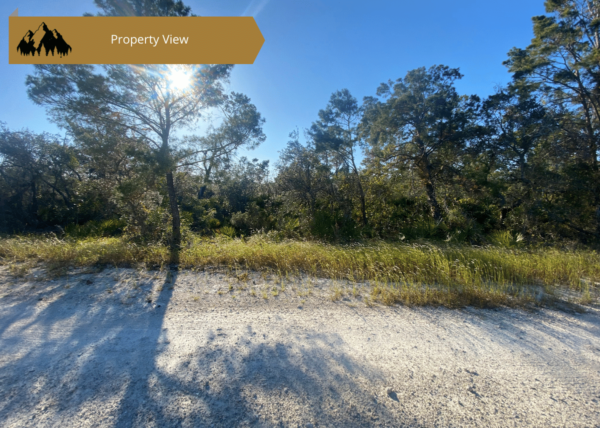 .25 acres in Highlands County, FL - Image 6