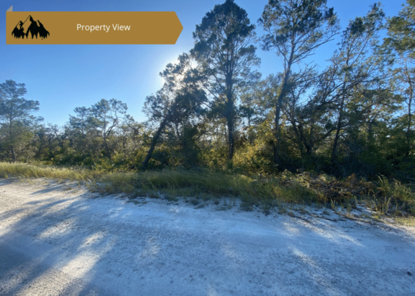 .25 acres in Highlands County, FL - Image 3